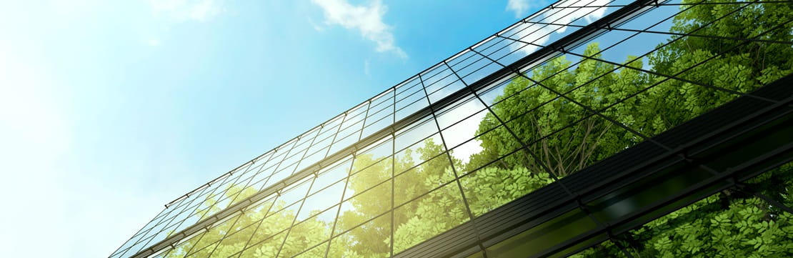 View of the reflection of trees on the side of a glass building.